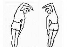 Упражнения для укрепления мышц спины в домашних условиях Сформировать мышечный корсет